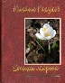 Михаил Рахунов. Стихи марта